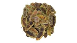 Açlık Otu 250 g