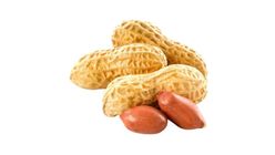 Shelled Peanuts 500 g