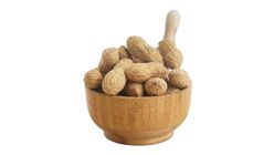 Kavrulmuş Kabuklu Yer Fıstığı 250 g