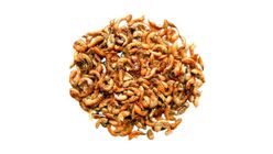 Gammarus Karides Kaplumbağa Yemi 50 g