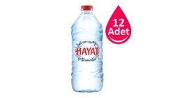 Hayat Pet Şişe Su 12 x 1 L
