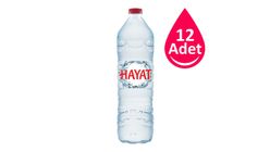 Hayat Pet Şişe Su 12 x 1.5 L
