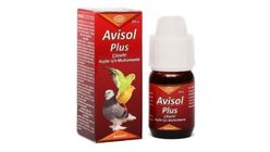 Biyoteknik Avisol Plus Sivi Kus Vitamini 20 ml