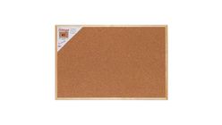 Simge Mantar Pano 30x45 cm