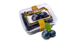 Tuğba Blueberry 101 g