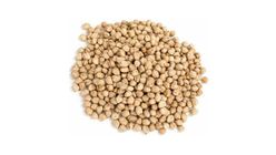 Chickpeas 500 g