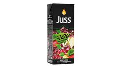 Juss Vişne Kiraz Elma Suyu 200 ml