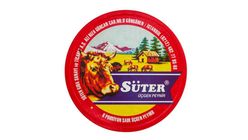 Süter Üçgen Peynir 110 g