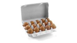 Kozlu Brown Eggs M Size 15 pcs