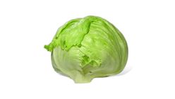 Iceberg Lettuce Quantity