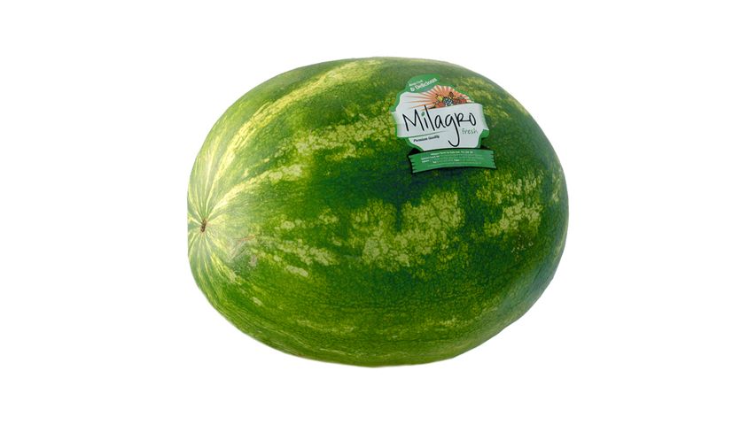 Milagro Karpuz 7-9 kg