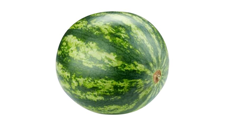 Milagro Karpuz 6 - 8 kg