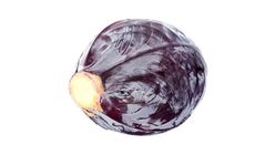 Red Cabbage 1 Piece