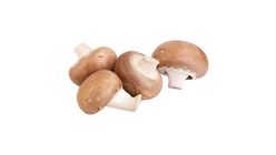 Milagro Kestane Mantarı 350 g