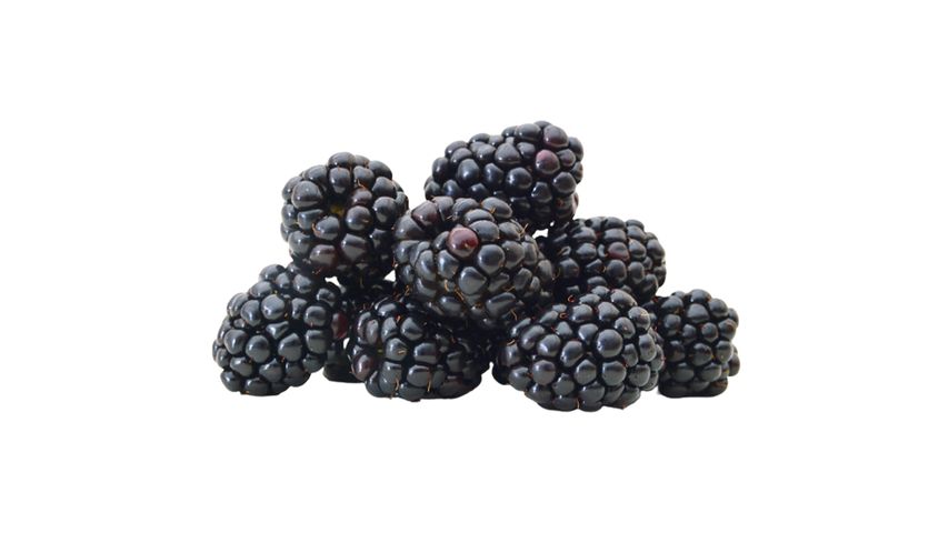 Milagro Böğürtlen 125 g
