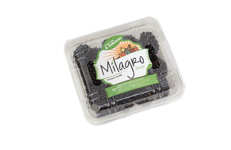 Milagro Böğürtlen 125 g