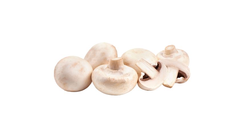 Milagro Kültür Mantarı 400 g