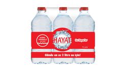 Hayat Natural Mineral Water 6 x 1 L