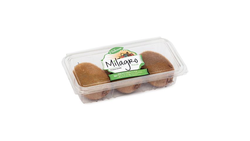 Milagro Kivi 3'lü Paket