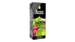 Juss %100 Elma Suyu 200 ml