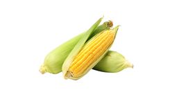 Milagro Corn 2 pieces