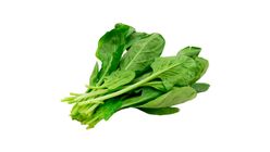 Milagro Roka Adet 50 g