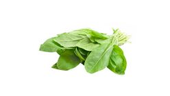 Milagro Sorrel 1 bunch