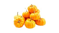Milagro Mini Pumpkin 1 Piece