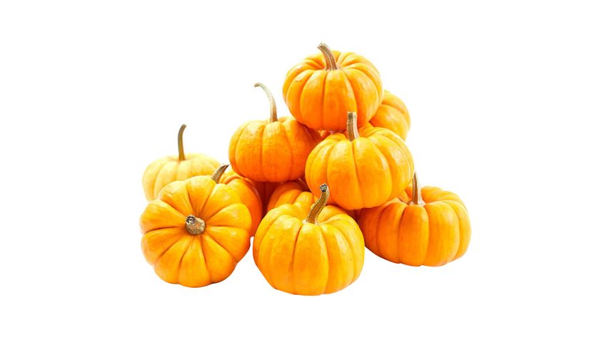Milagro Mini Pumpkin 1 Piece