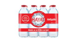 Hayat Natural Mineral Water 12 x 500 ml