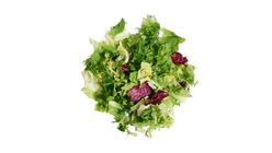 Milagro Akdeniz Yeşilliği 150 g