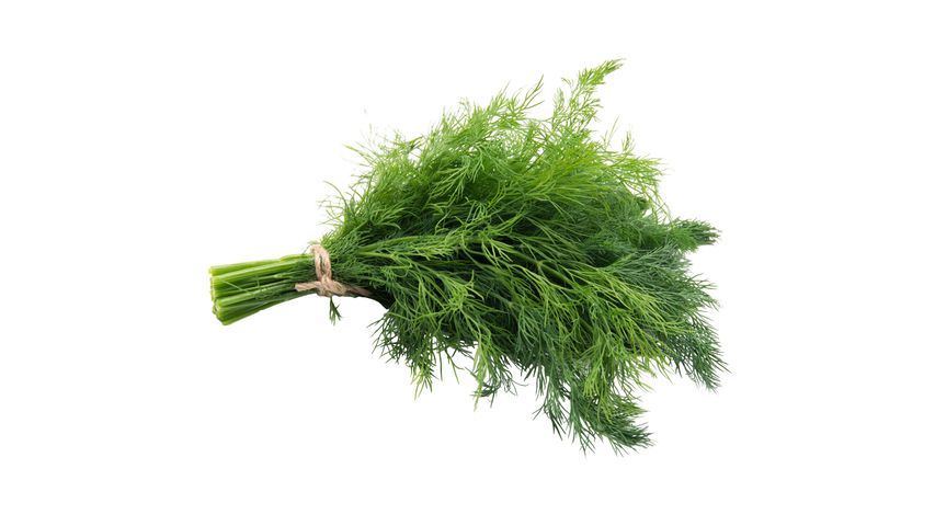 Dill 50 g