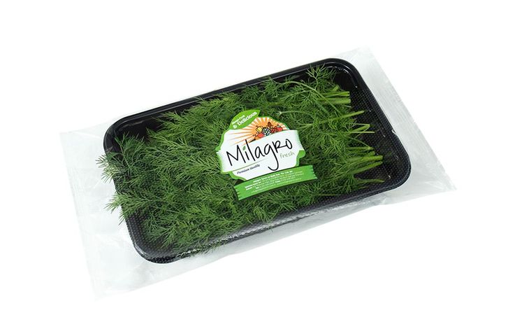 Dill 50 g