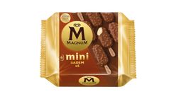 Magnum Mini Badem 330 ml