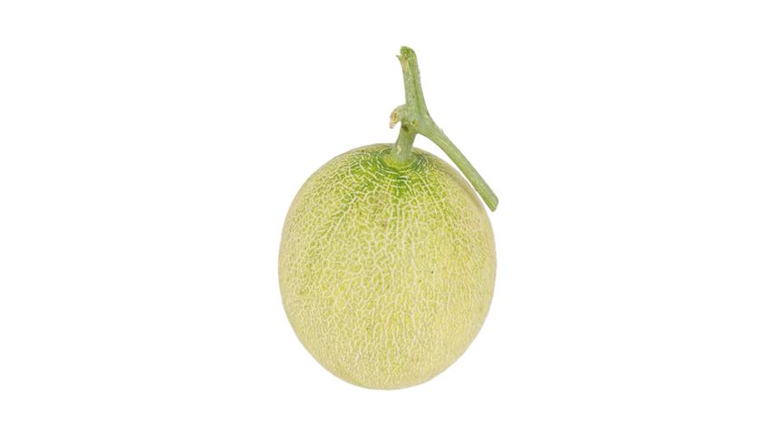 Milagro Mini Melon (1 Piece)