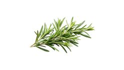 Milagro Biberiye 50 g