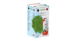 Bilge İlaç Matcha Premium Japanese Çilek Aromalı Matcha Çayı 20'li