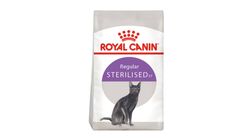 Royal Canin Regular Sterilised 37 Kısırlaştırılmış Kedi Maması 2 kg