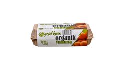Yeşil Küre Organik Yumurta M Boy 10'lu