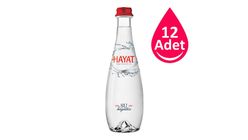Hayat Cam Şişe Su 12 x 330 ml