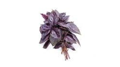 Milagro Reyhan 50 g