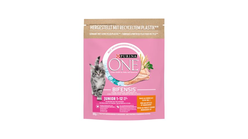 Buy Purina One Junior Chicken Kitten Dry Cat Food 800 g