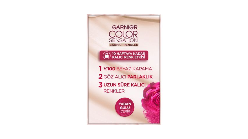 Garnier Çarpıcı Renkler Bal Kumral Saç Boyası 7.0