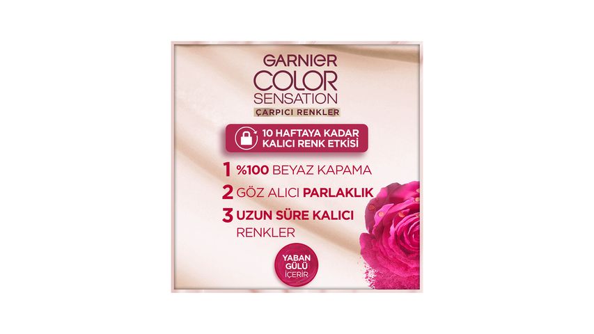 Garnier Çarpıcı Renkler Bal Kumral Saç Boyası 7.0