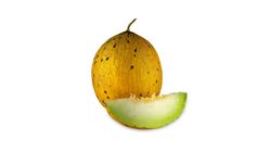 Milagro Kırkağaç Kavun 3.5 - 4 kg