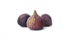 Milagro Black Fig 4 pieces