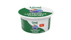 Pınar Laktozsuz Yoğurt 750 g