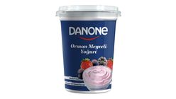 Danone Orman Meyveli Yoğurt 400 g