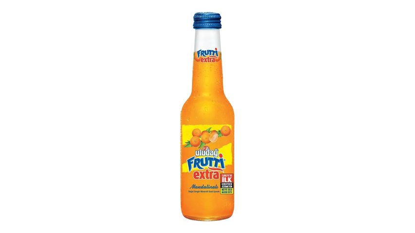 Uludağ Frutti Extra Mandalina 250 ml