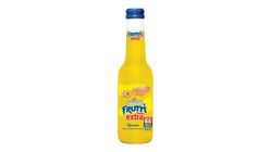 Uludağ Frutti Extra Kavun 250 ml